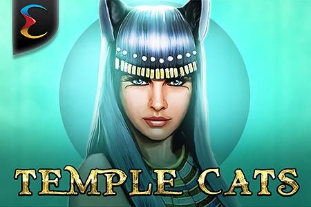 Temple Cats