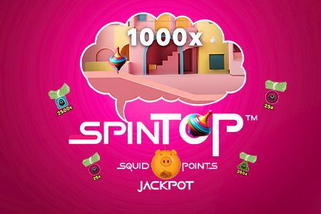 Spin Top