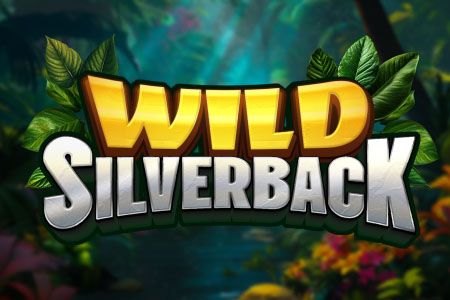 Wild Silverback